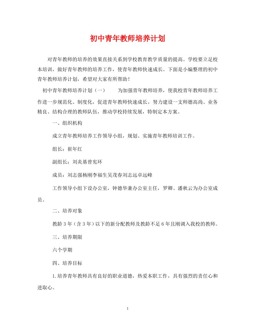 初中青年教师培养计划WORD版