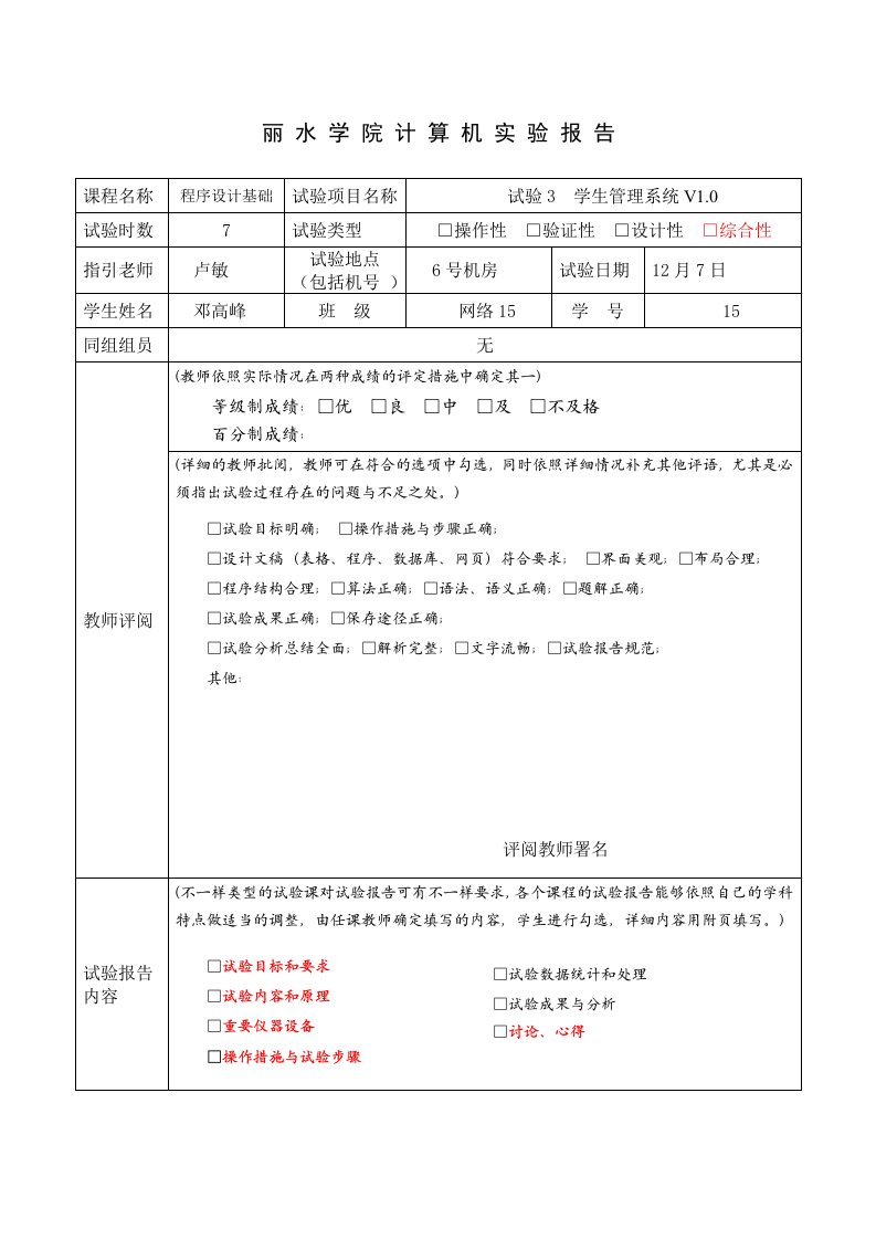 2024年实验报告模板实验