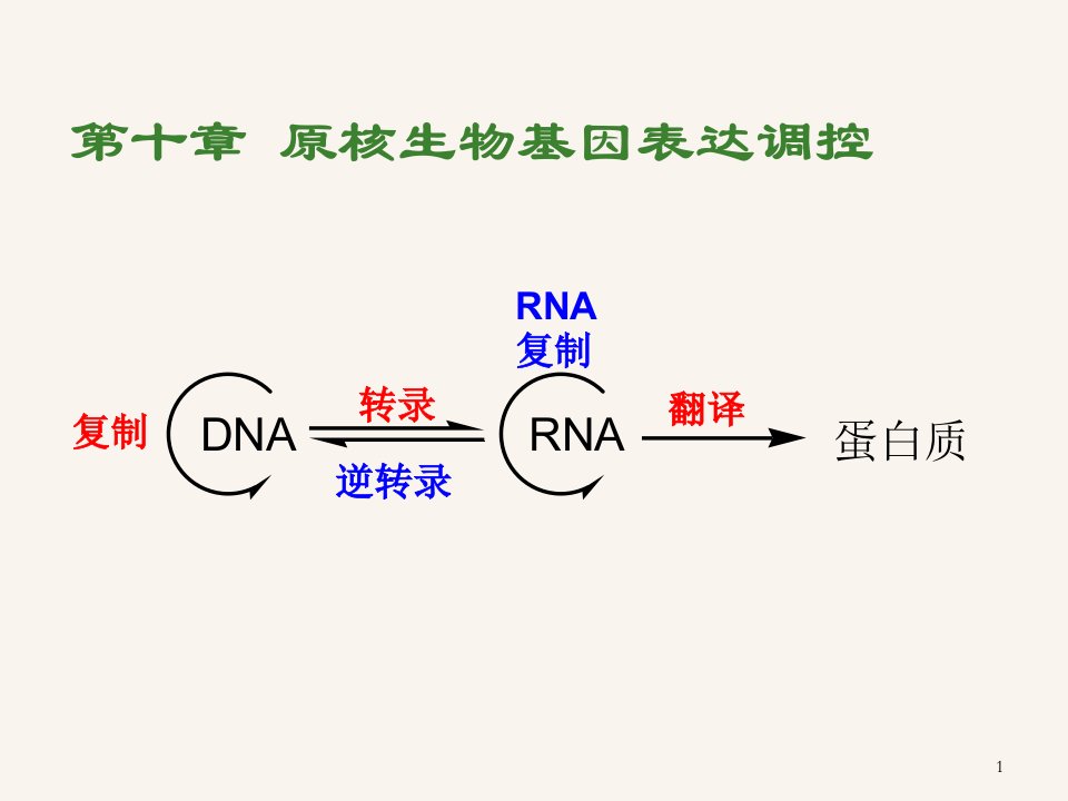 年分子生物学原核生物基因表达调控课时