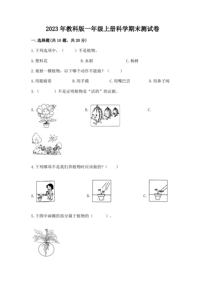 2023年教科版一年级上册科学期末测试卷精品带答案