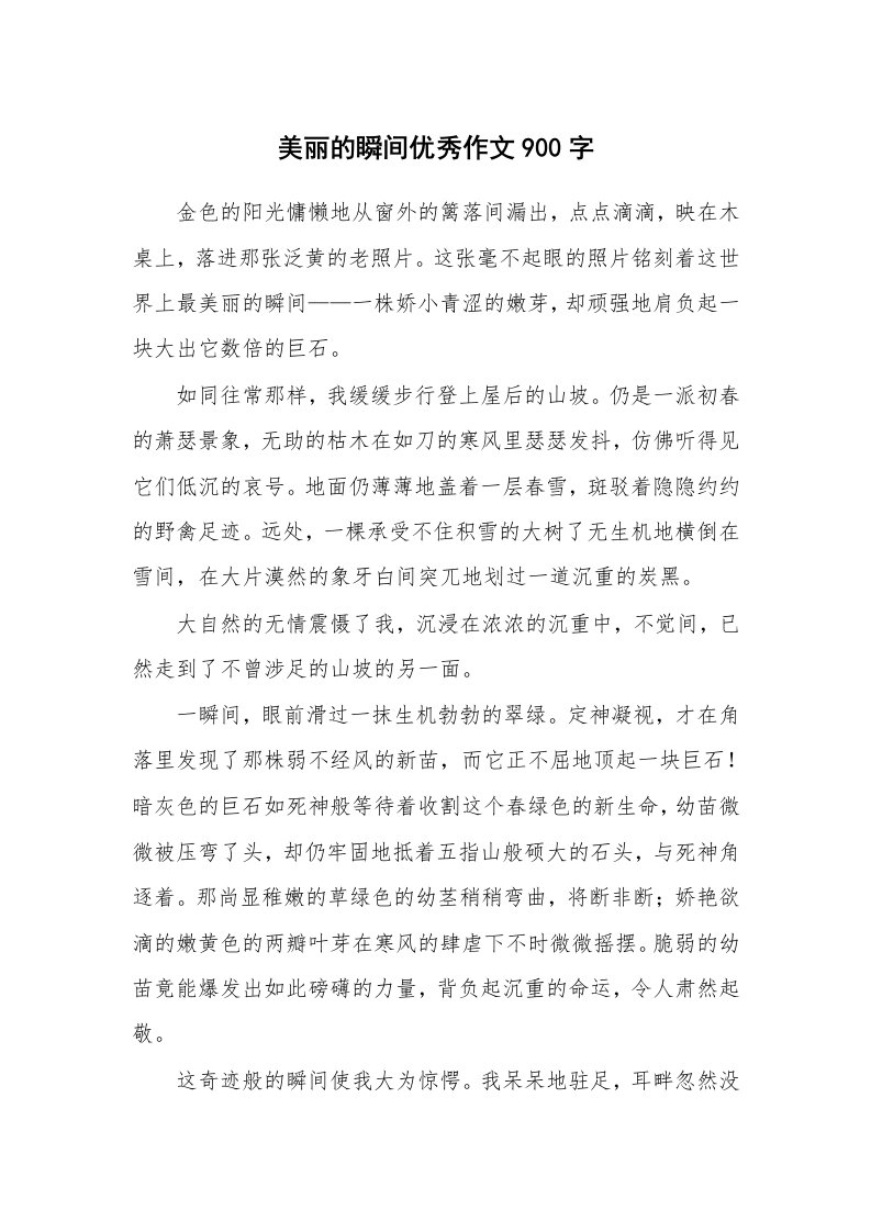 美丽的瞬间优秀作文900字