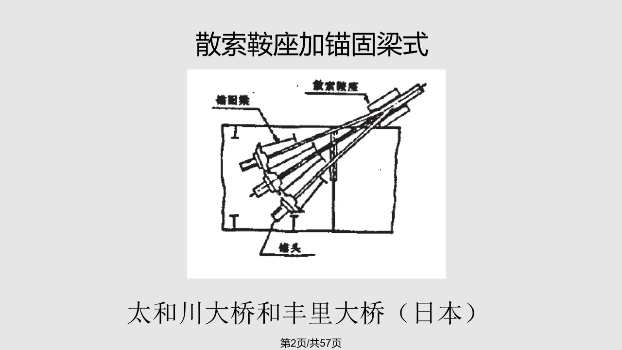 拉索锚固学习