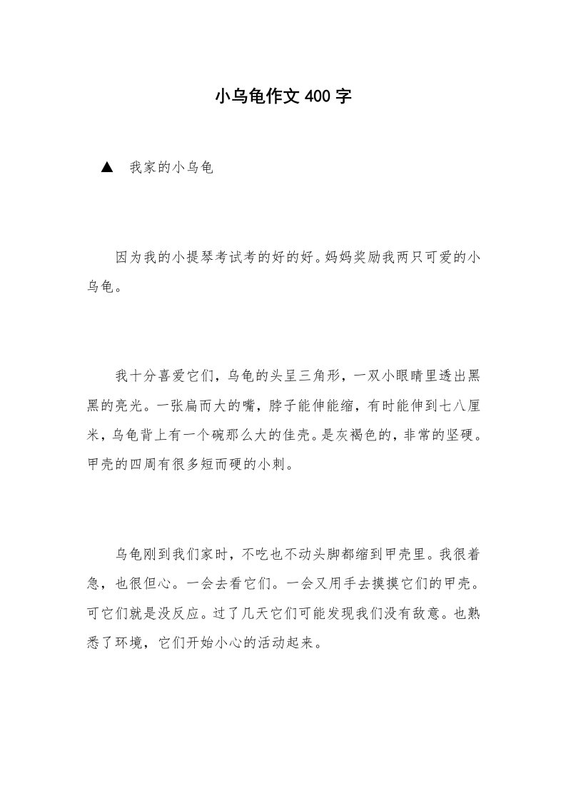 小乌龟作文400字