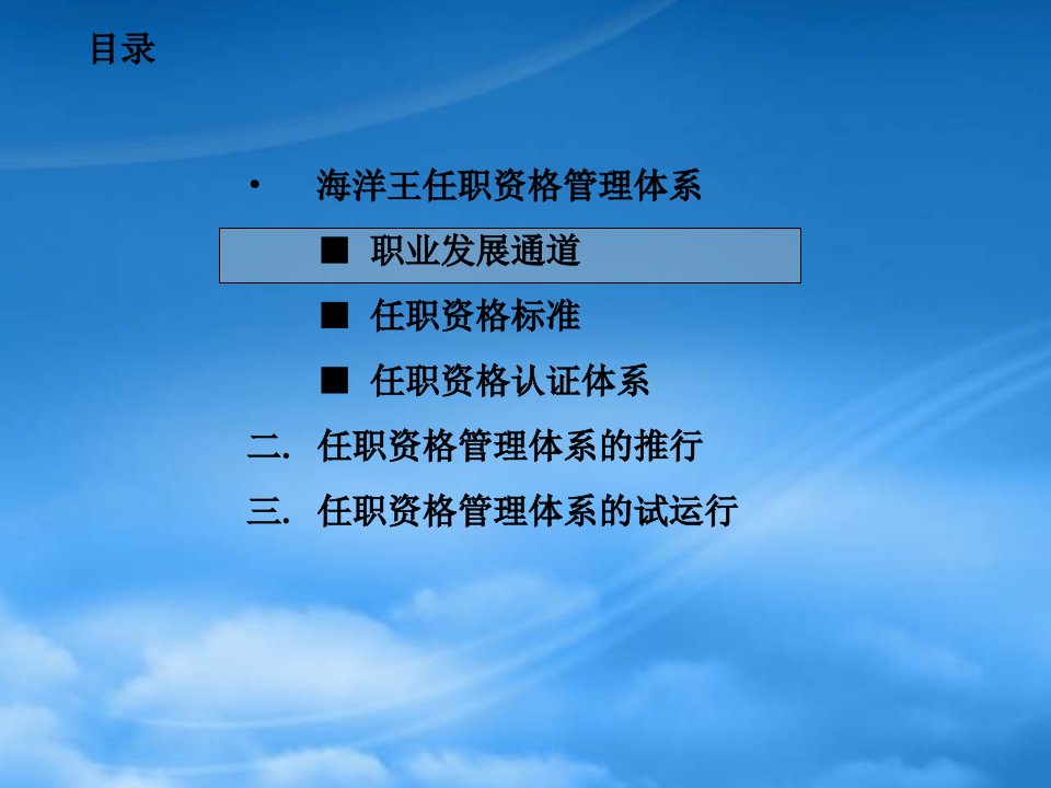 海洋王任职资格管理体系及运行办法PPT33页