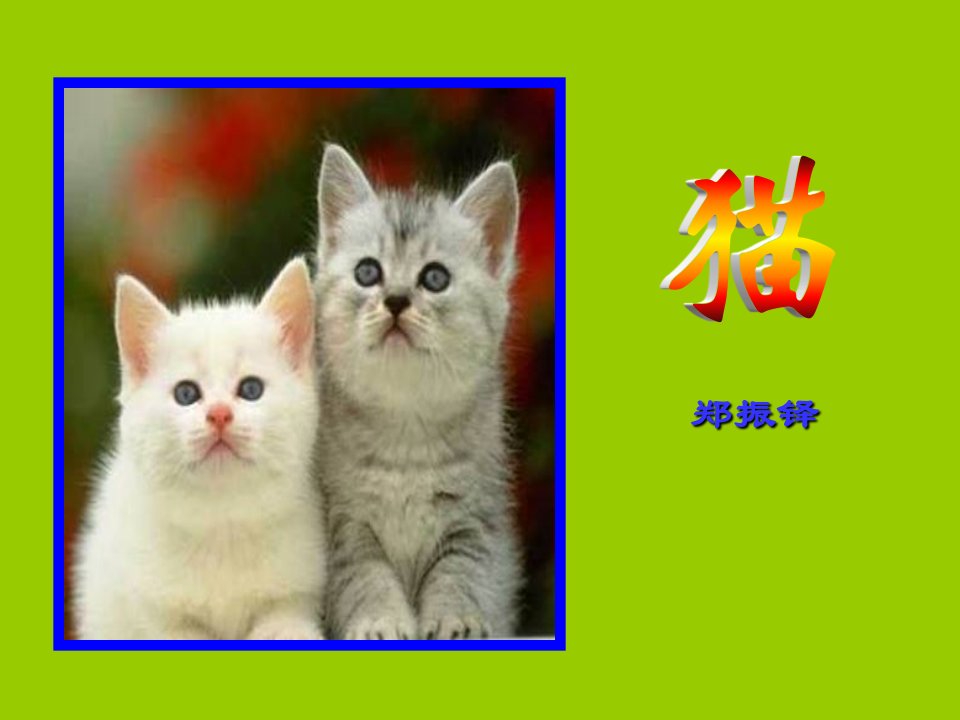 郑振铎《猫》ppt