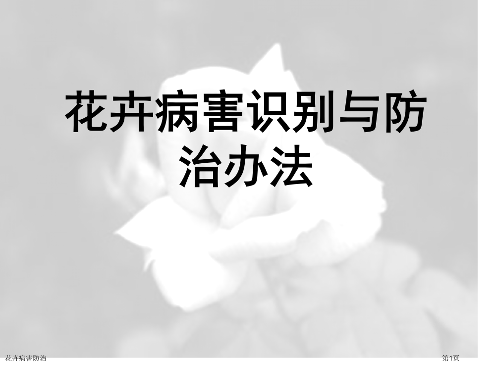 花卉病害防治专家讲座