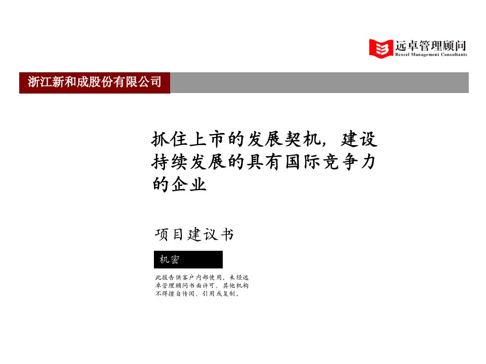 远卓-新和成-建设持续发展的具有国际竞争力的企业项目建议书