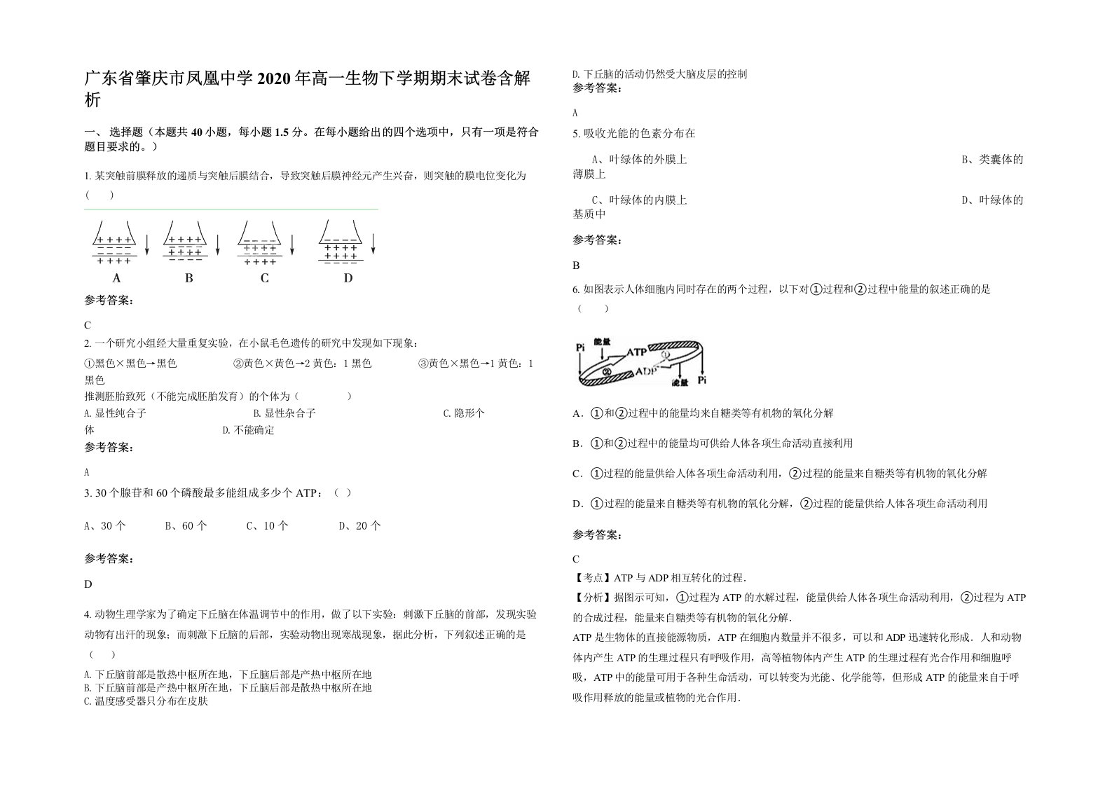 广东省肇庆市凤凰中学2020年高一生物下学期期末试卷含解析