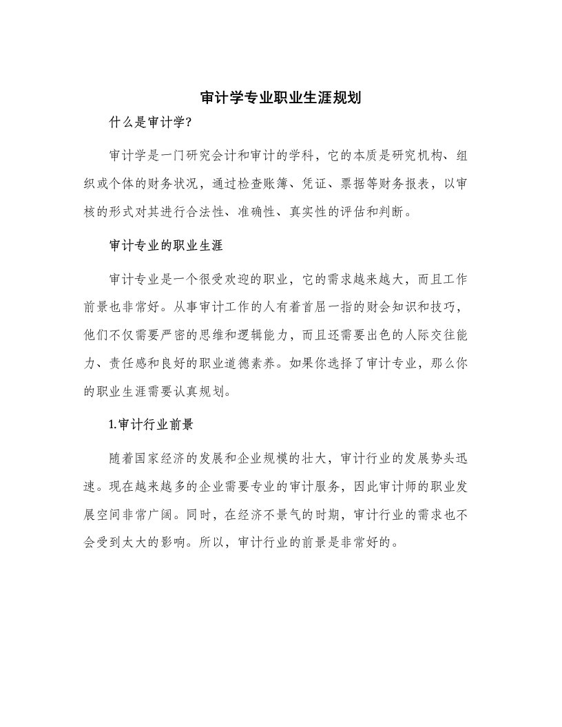 审计学专业职业生涯规划