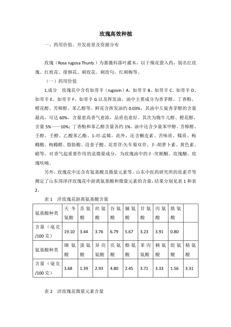 玫瑰高效种植