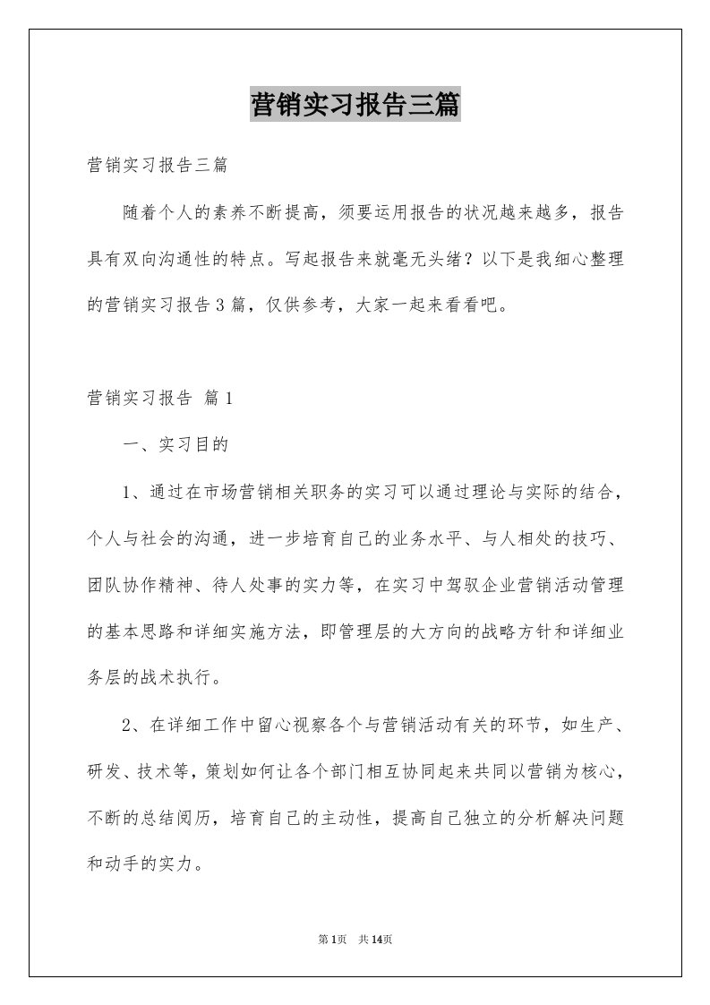 营销实习报告三篇例文