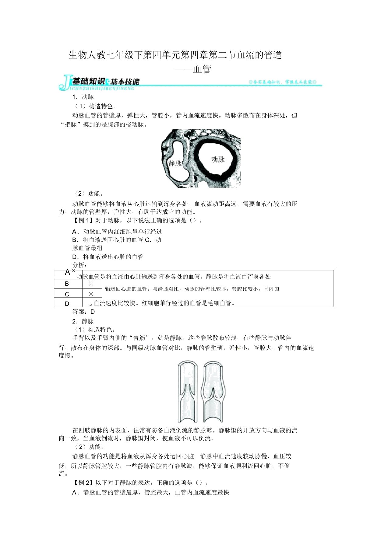 初中七年级生物练习题下血流的管道——血管