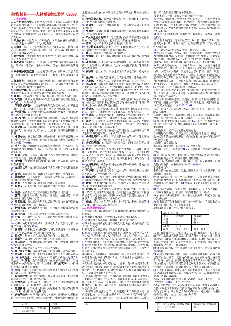 人体解剖生理学复习资料(期末复习资料）