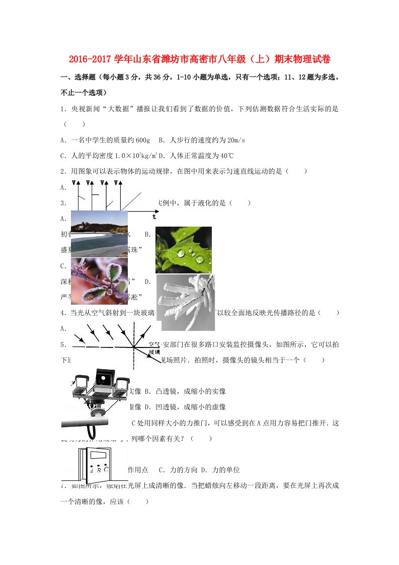 八年级物理上学期期末试卷（含解析）