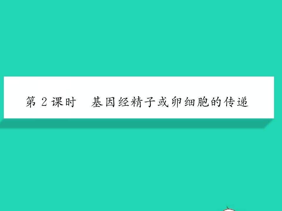 2022八年级生物下册第七单元生物圈中生命的延续和发展第二章生物的遗传与变异第二节基因在亲子代间的传递第2课时基因经精子或卵细胞的传递习题课件新版新人教版