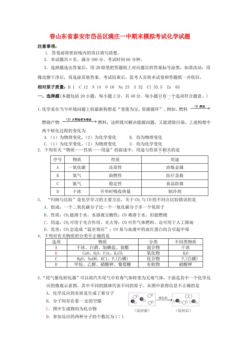 山东省泰安市岱岳区满庄一中九级化学期末模拟考试试题