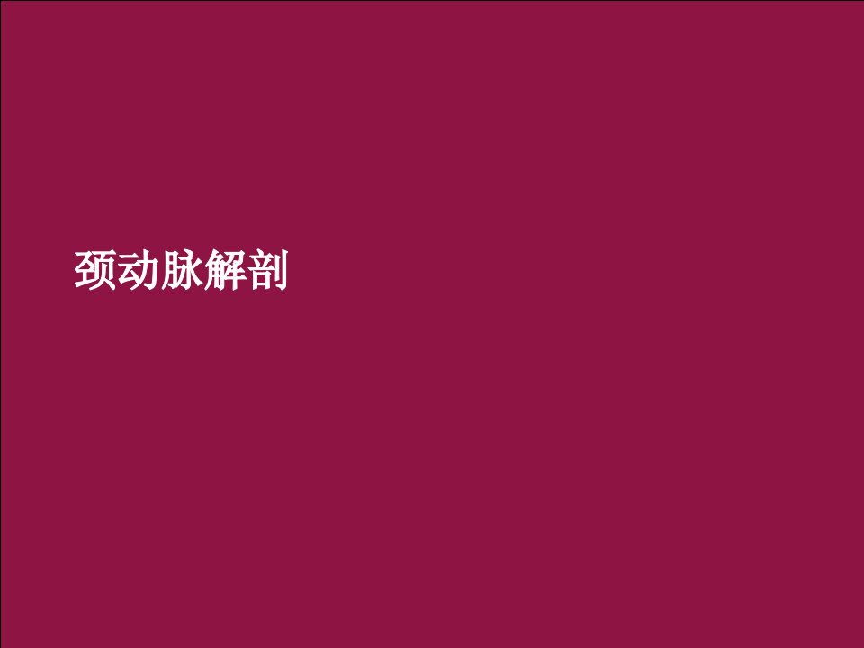 颈动脉解剖