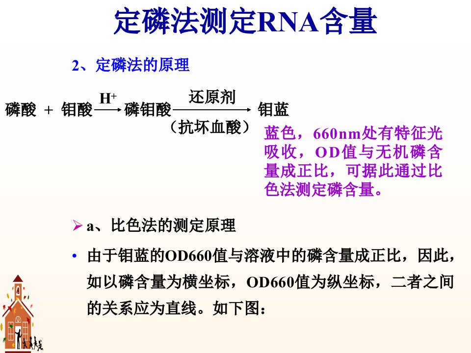 浙江大学生物化学实验甲