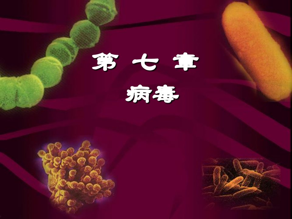 第七章病毒(沈萍主编)微生物3讲课资料