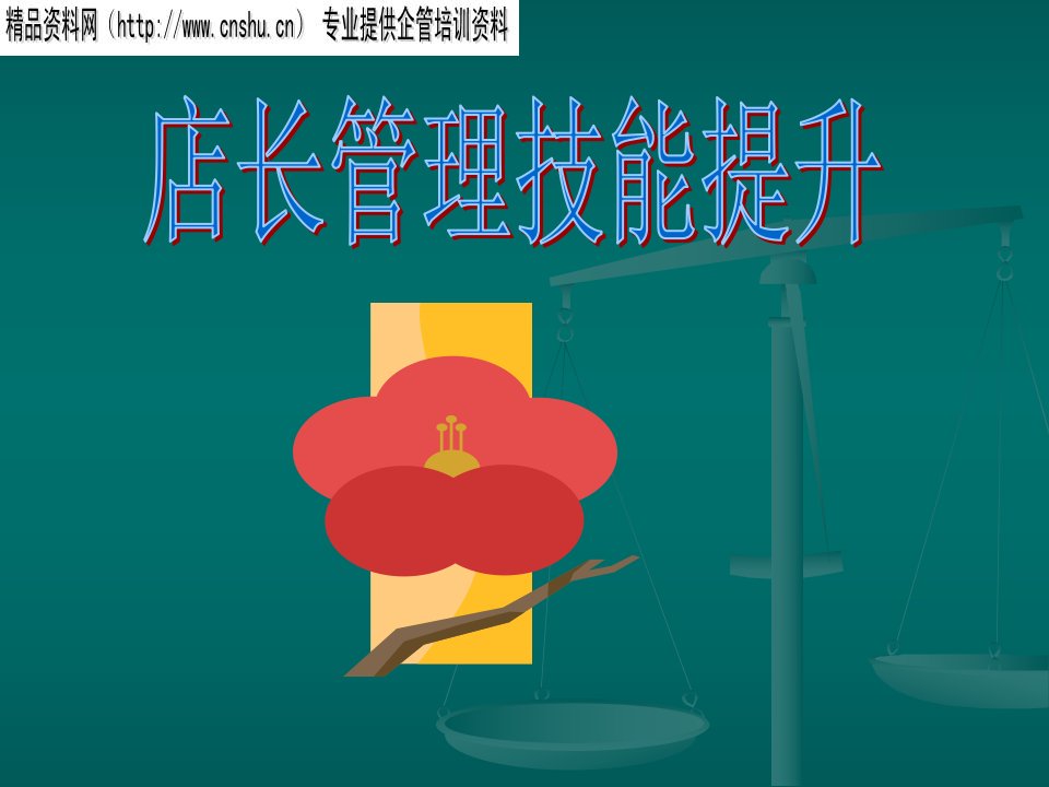 [精选]店长管理技能提升（PPT31页）