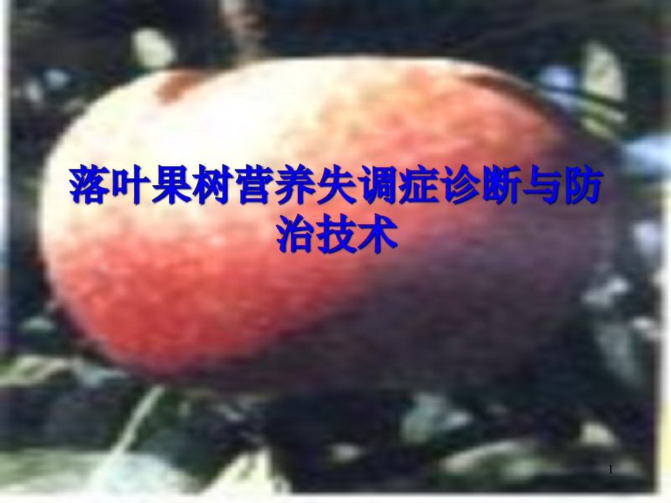 《北方果树缺素》PPT课件