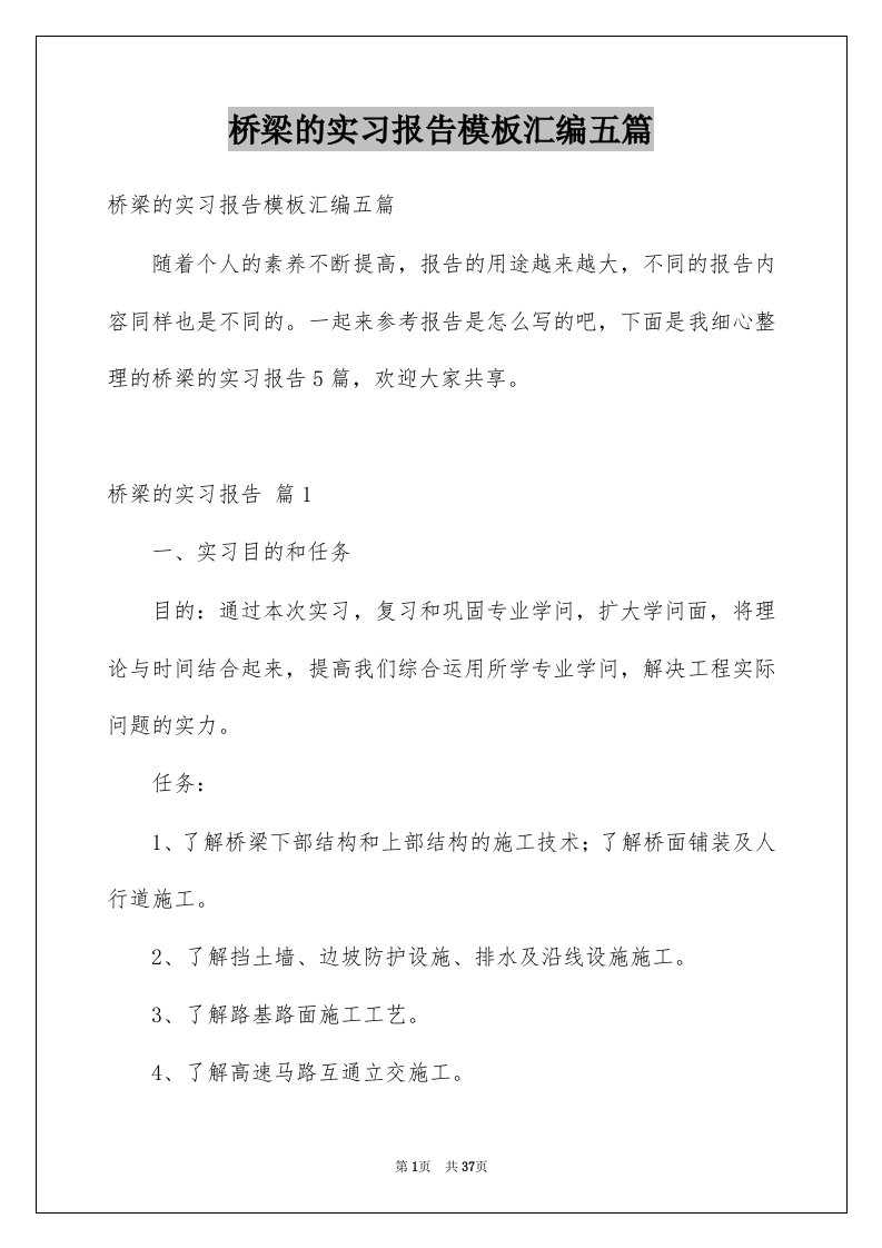 桥梁的实习报告模板汇编五篇例文