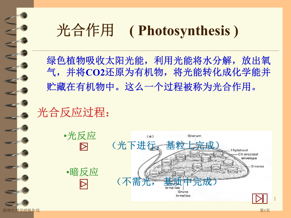 植物生理学呼吸作用专家讲座