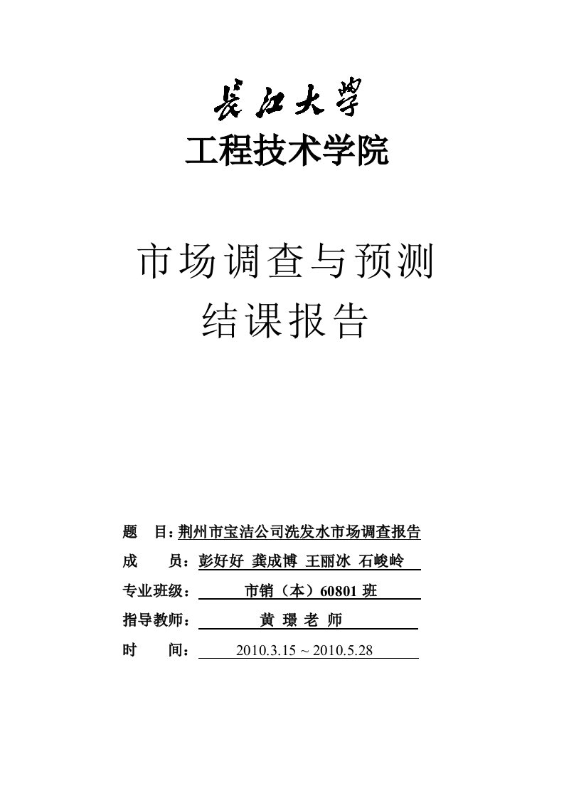 荆州市宝洁公司洗发水市场调查报告