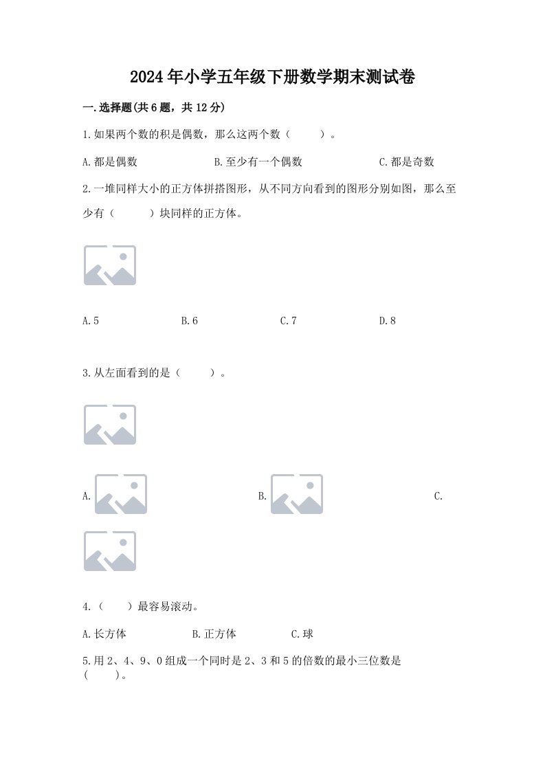 2024年小学五年级下册数学期末测试卷带答案（黄金题型）