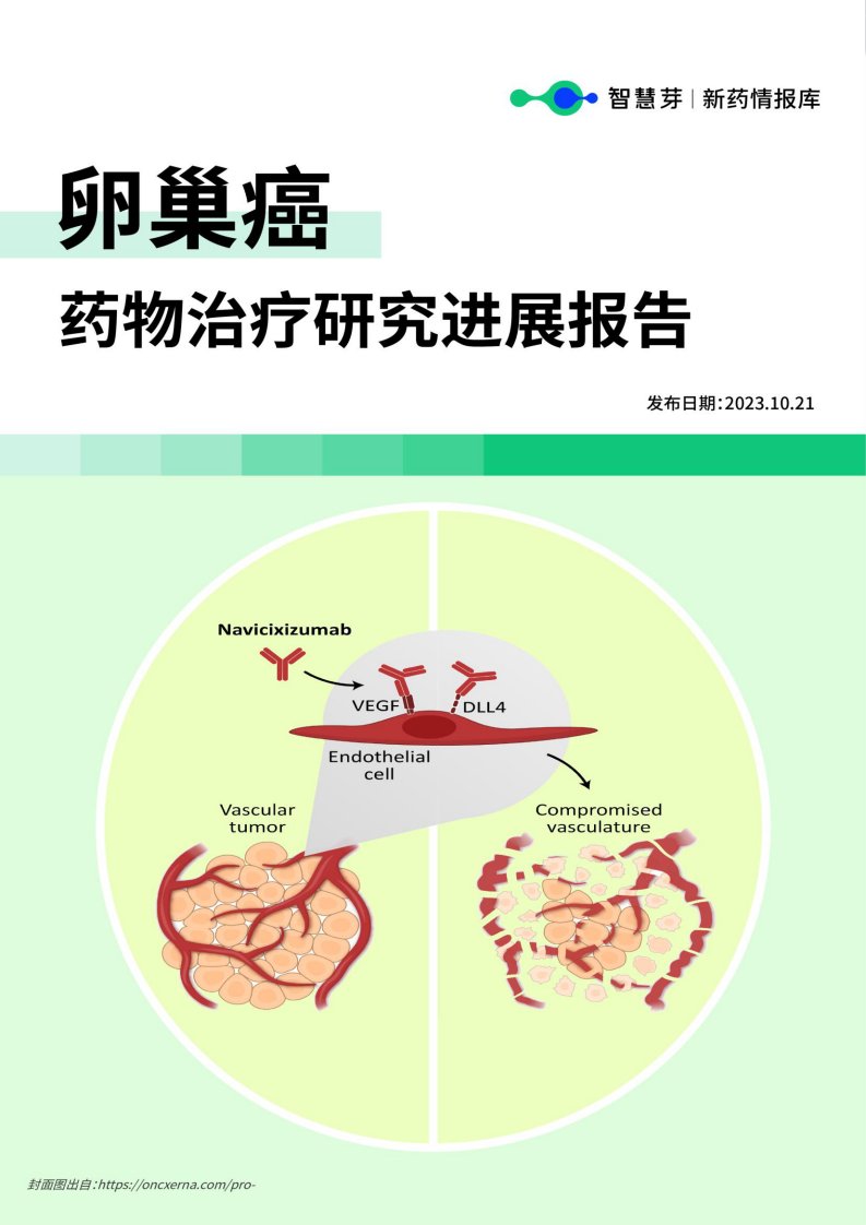 智慧芽-卵巢癌药物治疗研究进展报告