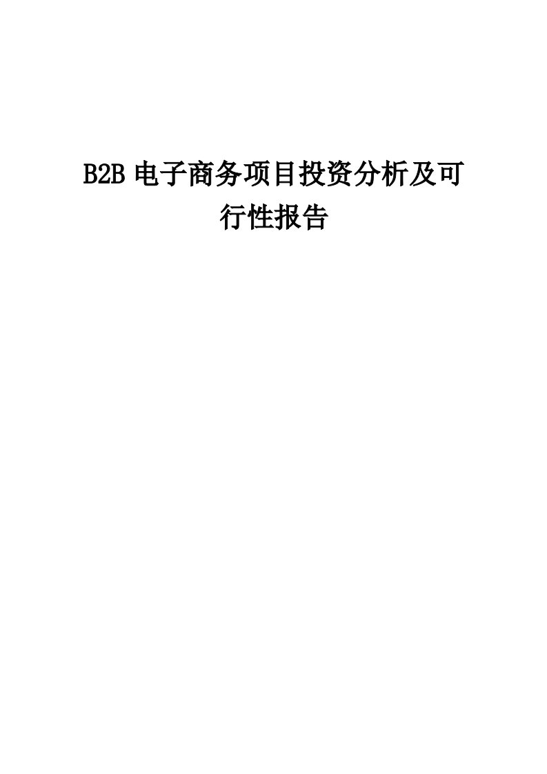 2024年B2B电子商务项目投资分析及可行性报告