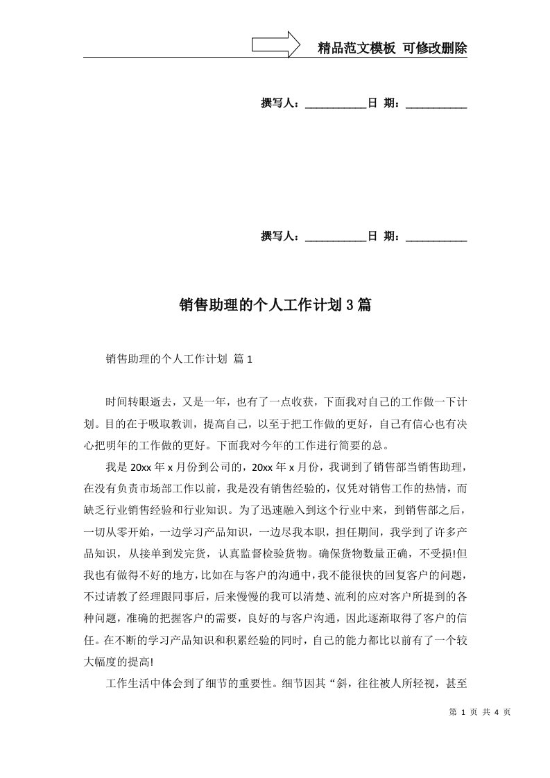 销售助理的个人工作计划3篇二