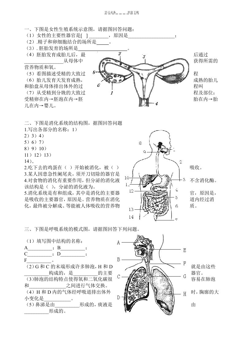 初中生物七年级下册复习资料填图费