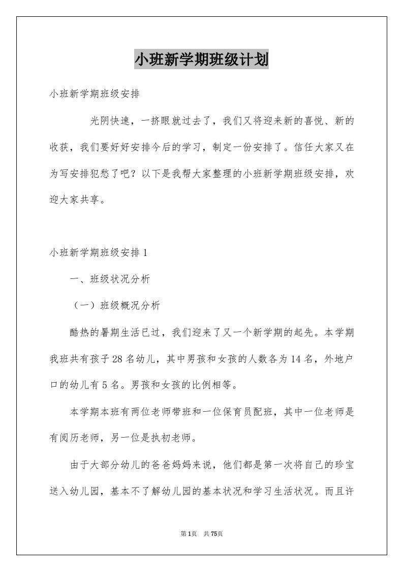 小班新学期班级计划