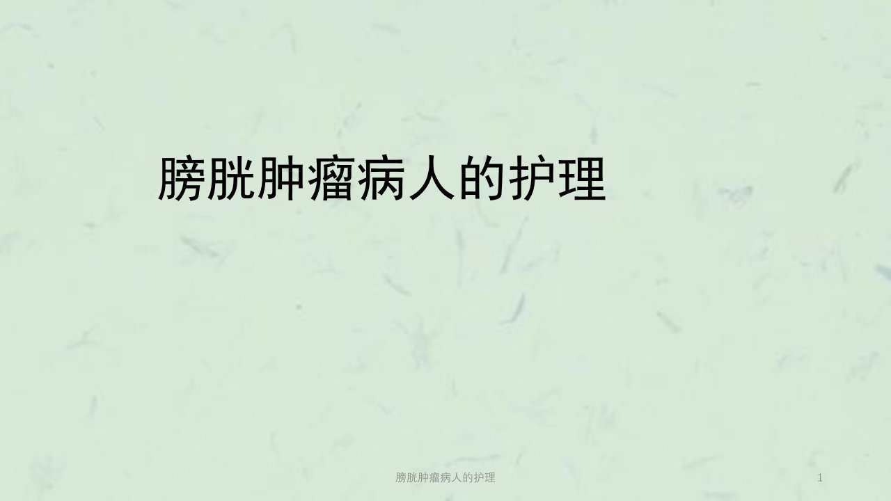 膀胱肿瘤病人的护理ppt课件