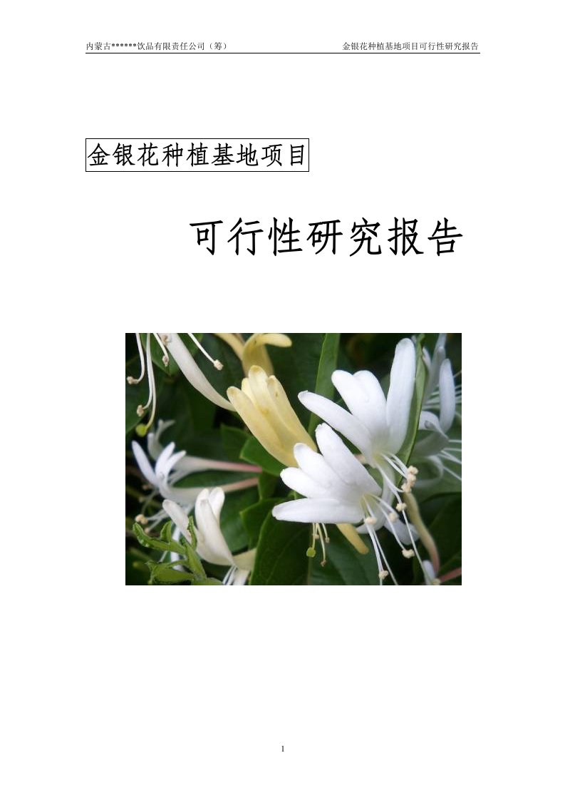 金银花种植与产业化可行性研究报告