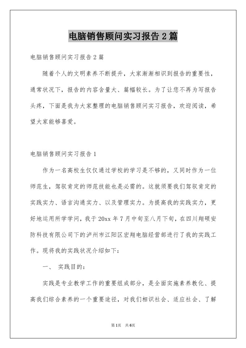 电脑销售顾问实习报告2篇