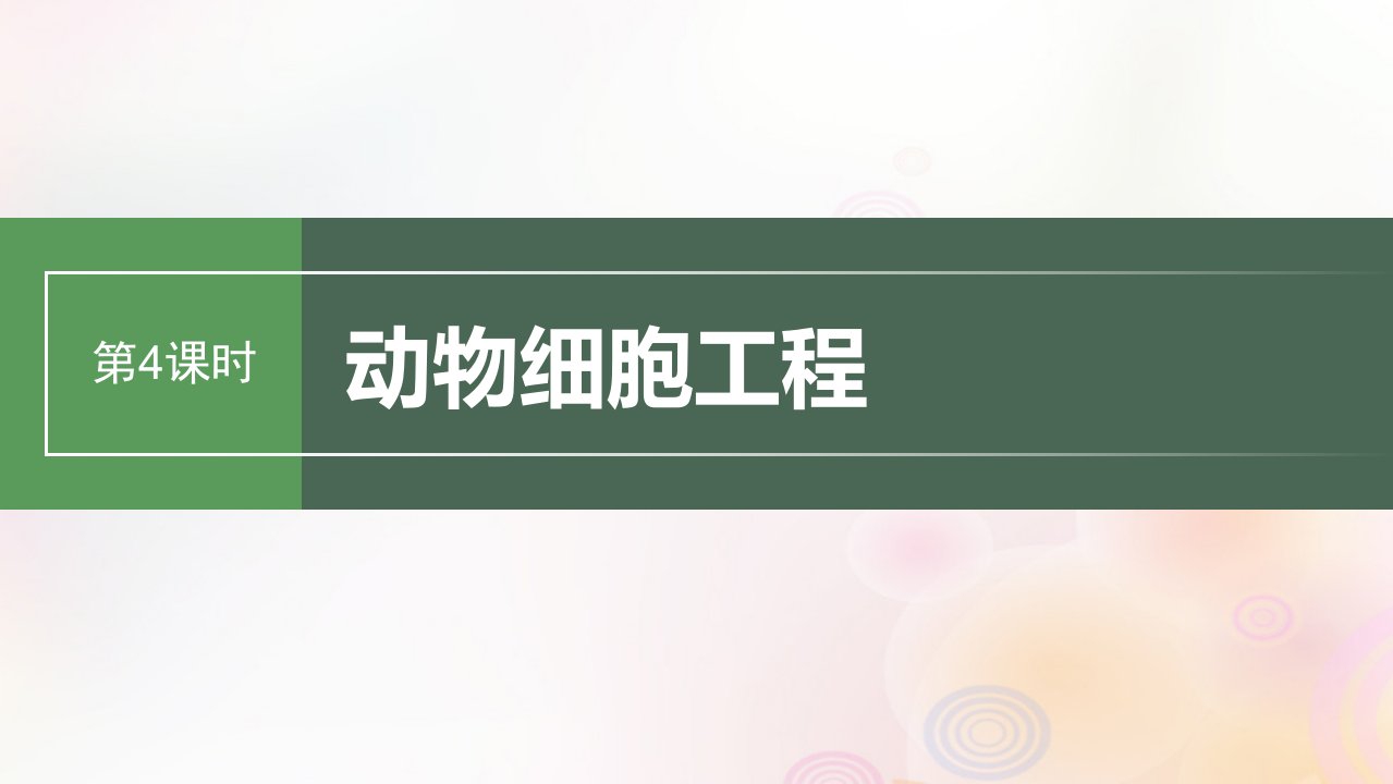 鲁湘辽新教材2024届高考生物一轮复习第十单元生物技术与工程第4课时动物细胞工程课件