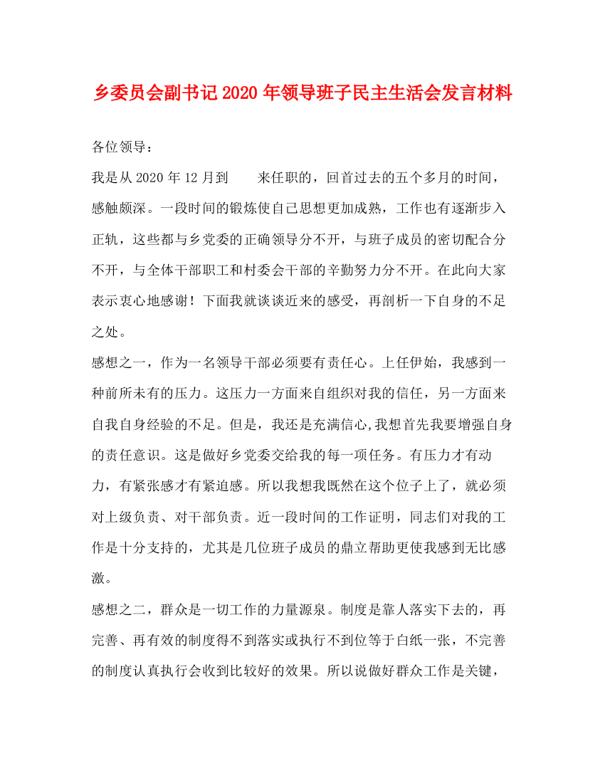 精编之乡委员会副书记年领导班子民主生活会发言材料