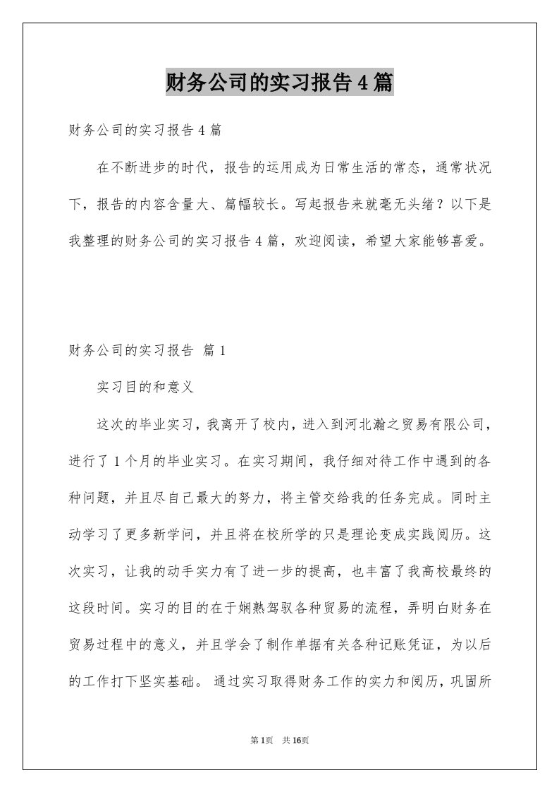 财务公司的实习报告4篇