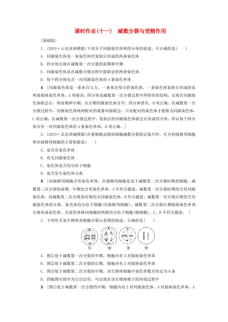 山东专用2021高考生物一轮复习课时作业11减数分裂与受精作用含解析