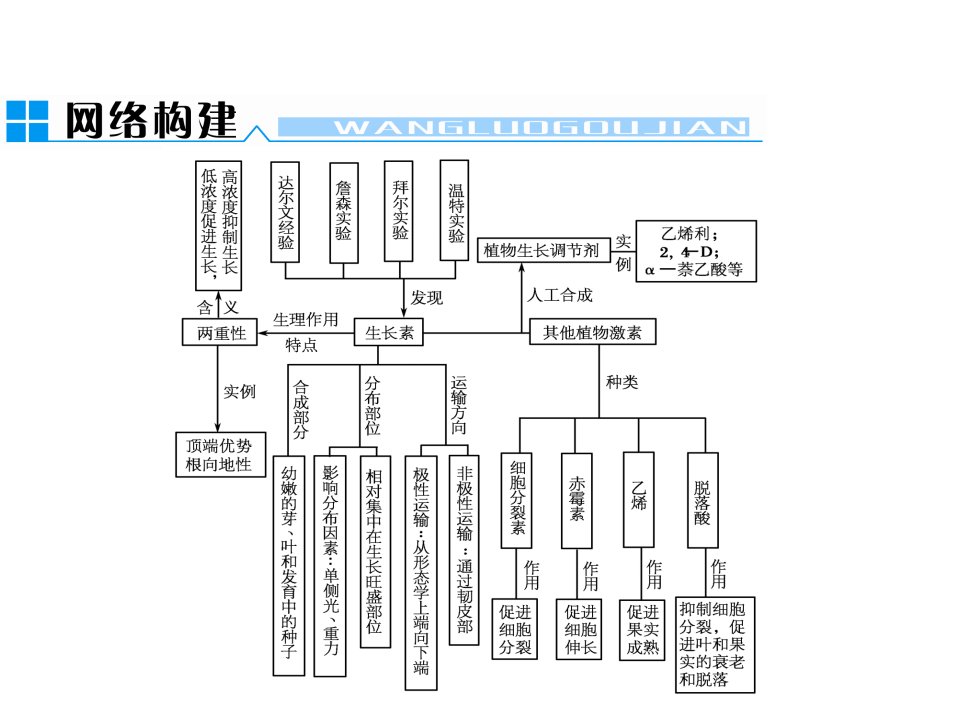 植物激素植物生长调节剂