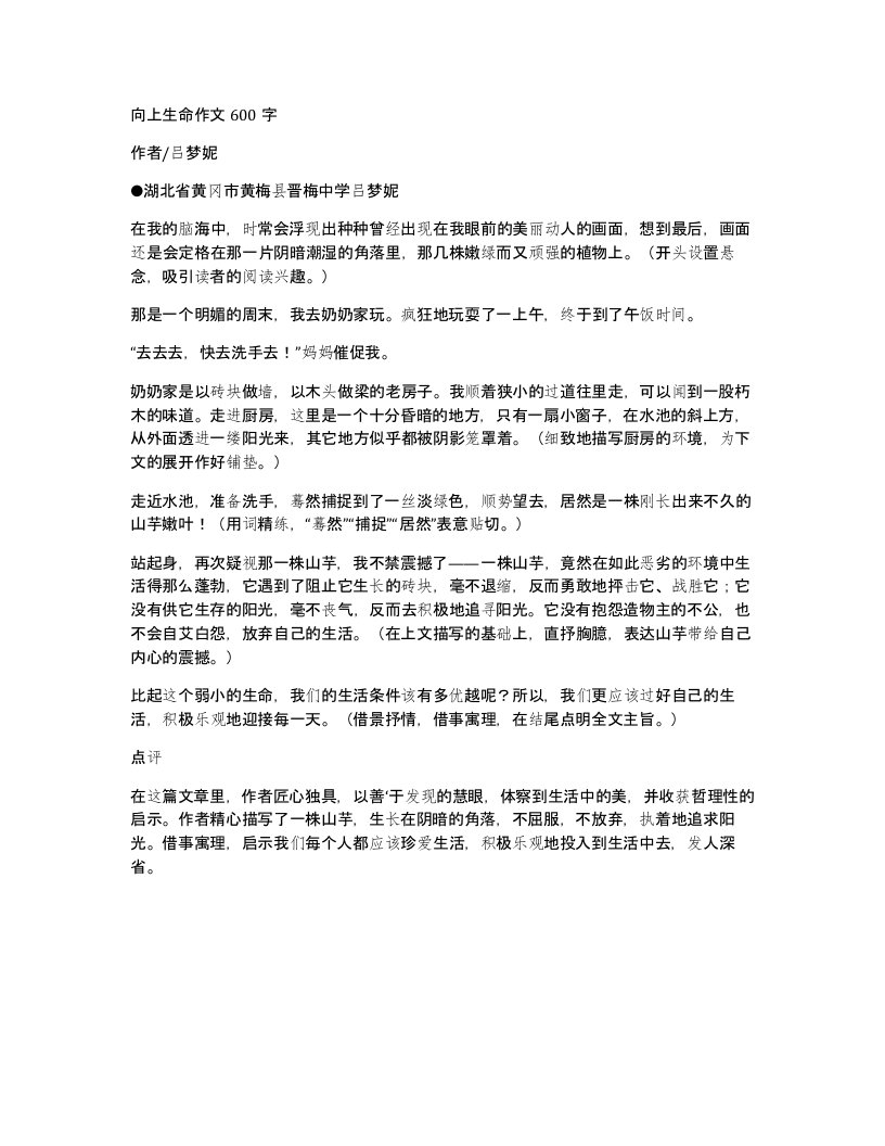 向上生命作文600字