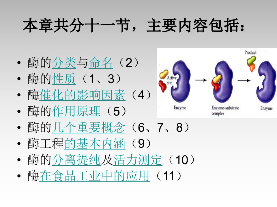 五章节酶主章节人曹劲松