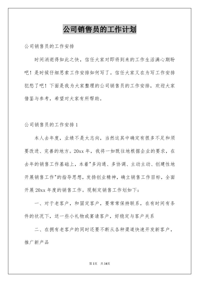 公司销售员的工作计划例文