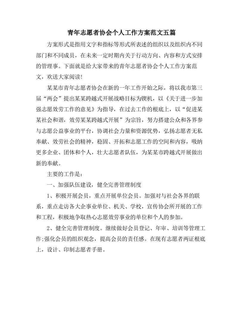 青年志愿者协会个人工作计划范文五篇