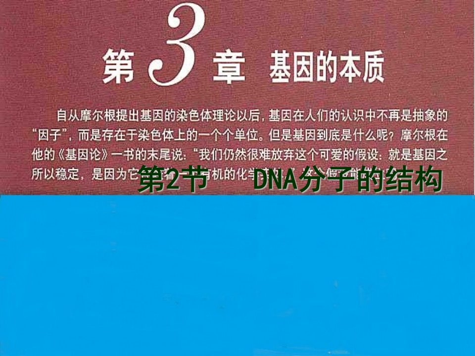 高中生物必修二3.2DNA分子的结构