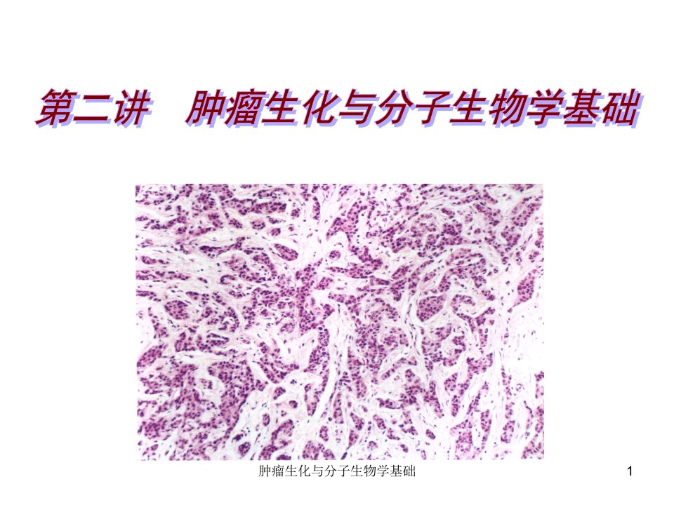 肿瘤生化与分子生物学基础课件