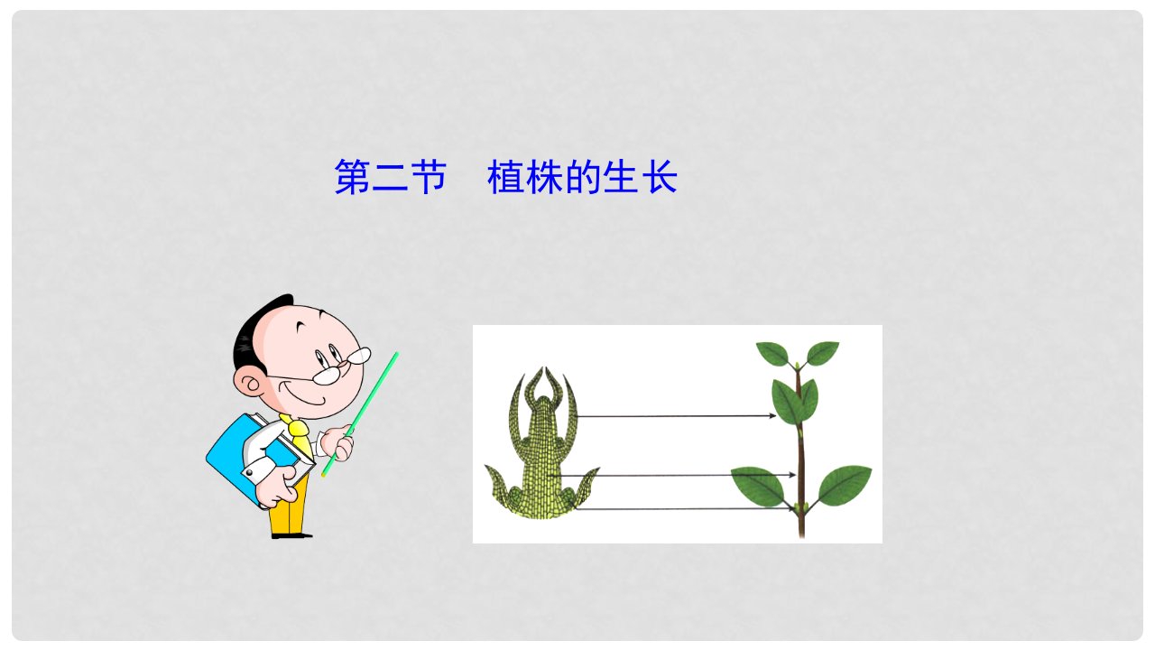 湖北省武汉为明实验学校七年级生物上册