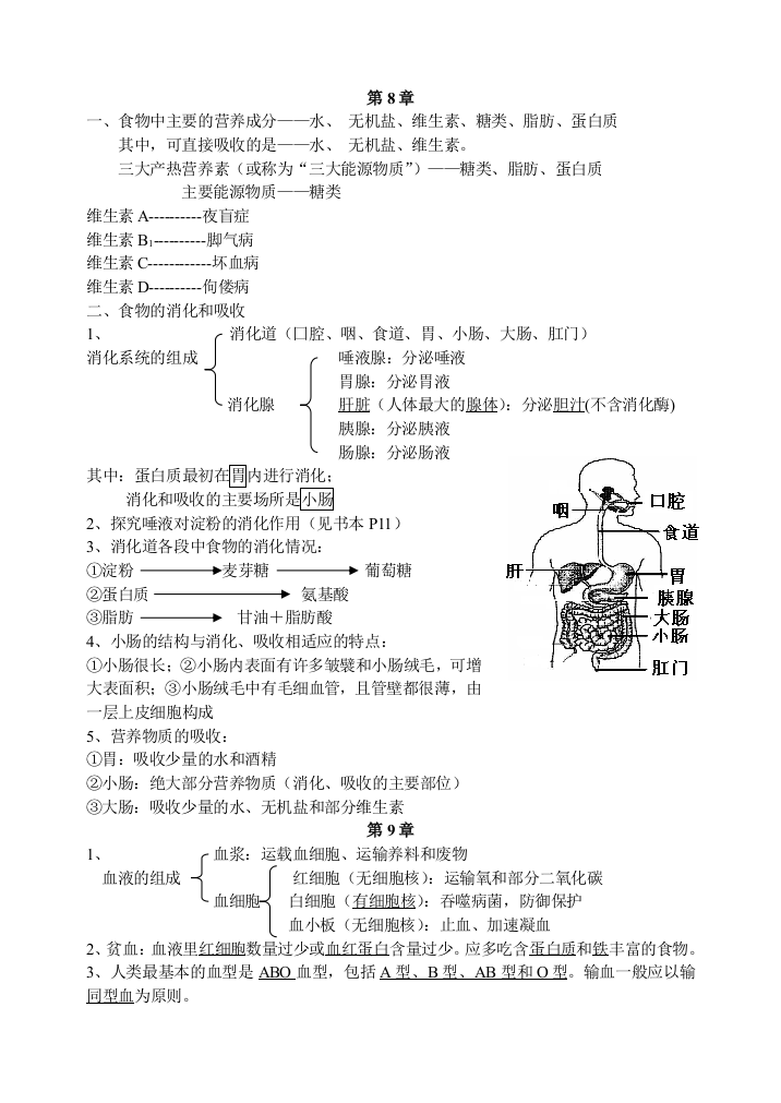 北师大版生物期末复习资料